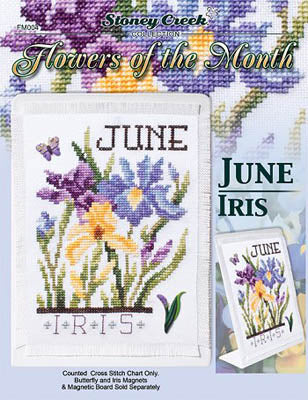 Flowers Of The Month - June Iris / Stoney Creek