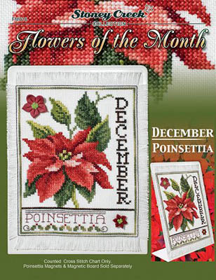 Flowers Of The Month - December / Stoney Creek