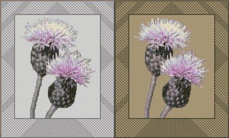 Thistles in Bloom / DoodleCraft Design Ltd