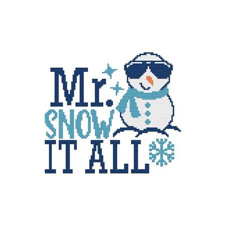 Mr. Snow It All / Cross Stitch Wonders