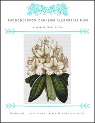 Rhododendron Carneum Elegantissimum / X Squared Cross Stitch