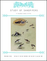 Study Of Sandpipers / X Squared Cross Stitch