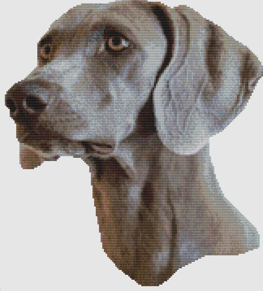 Weimaraner - Profile / DogShoppe Designs