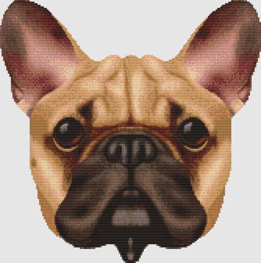 French Bulldog - Face (Fawn) / DogShoppe Designs