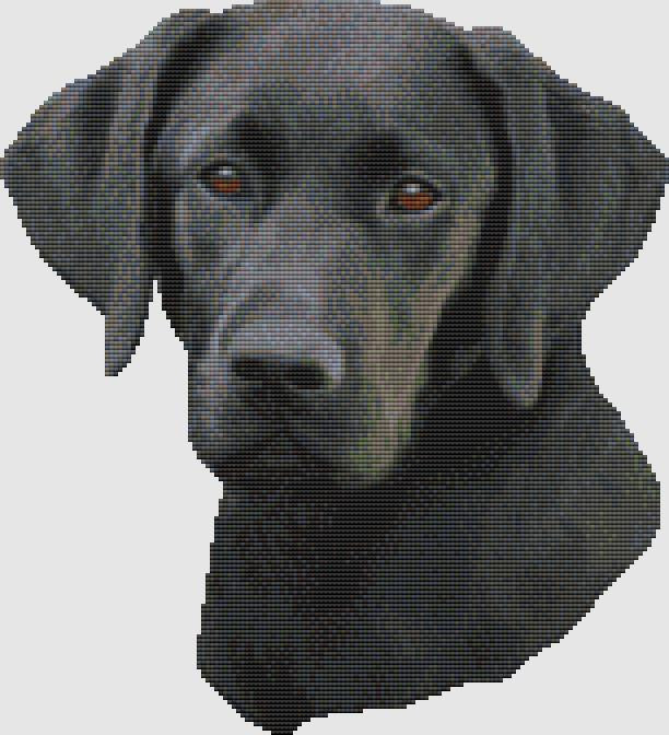 Labrador Retriever - Portrait II (Black) / DogShoppe Designs