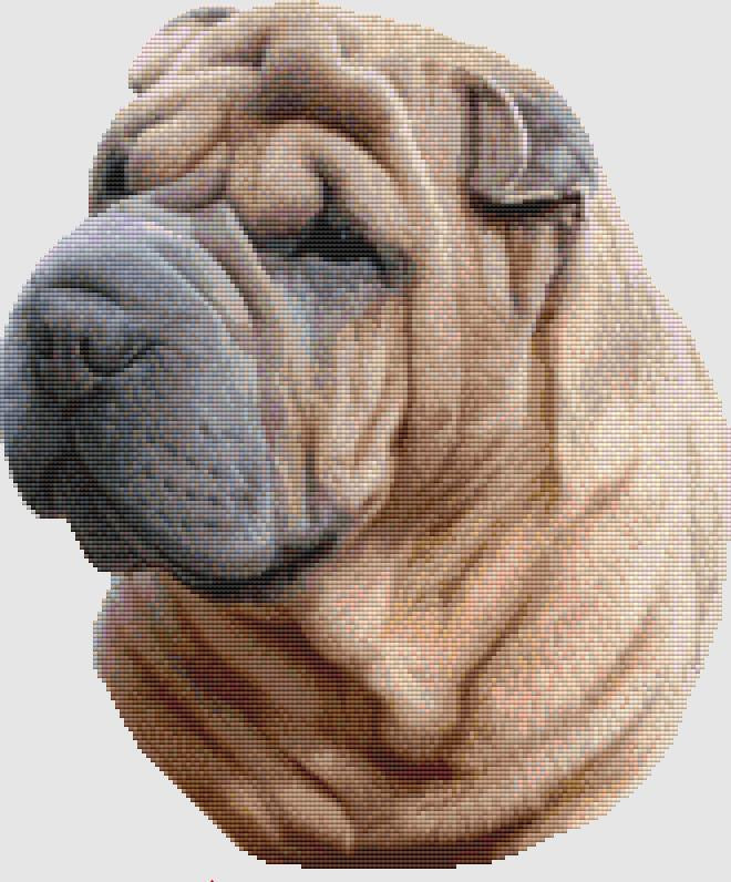 Shar Pei - Portrait / DogShoppe Designs