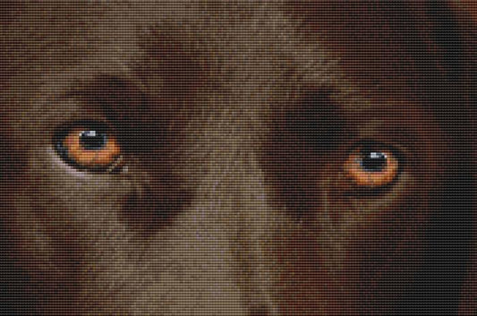 Labrador Retriever - Eyes (Chocolate) / DogShoppe Designs