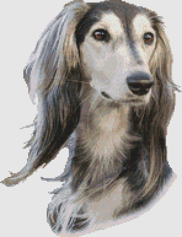 Saluki - Portrait / DogShoppe Designs