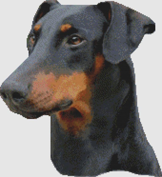 Doberman Pinscher - Portrait (Black Tan) / DogShoppe Designs