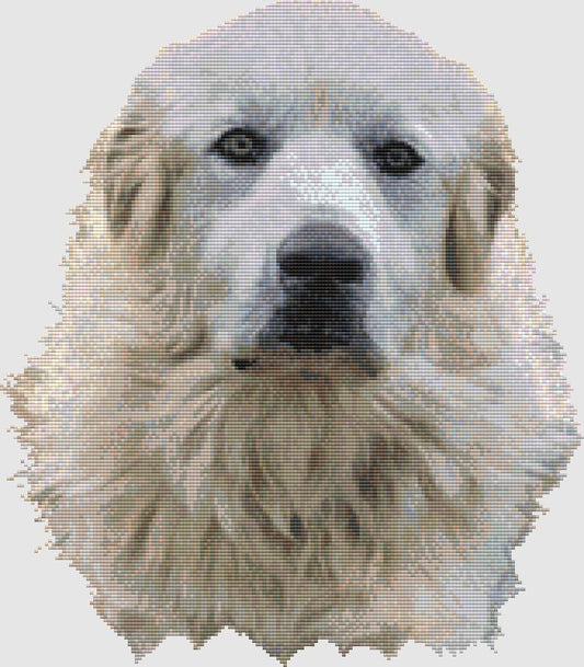 Great Pyrenees - Portrait / DogShoppe Designs