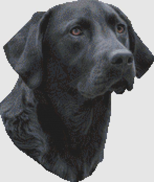 Labrador Retriever - Portrait (Black) / DogShoppe Designs