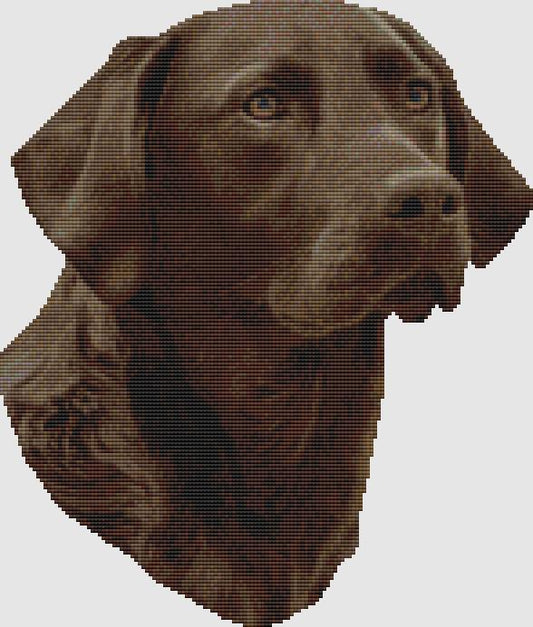 Labrador Retriever - Portrait (Chocolate) / DogShoppe Designs