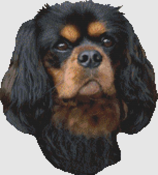 Cavalier Spaniel - Portrait (Black & Tan) / DogShoppe Designs