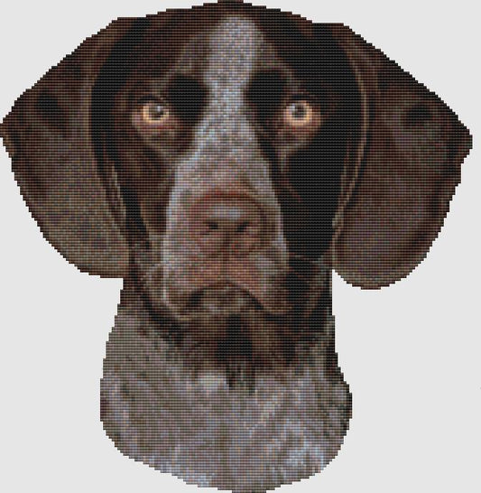 German Shorthair Pointer - Portrait / DogShoppe Designs