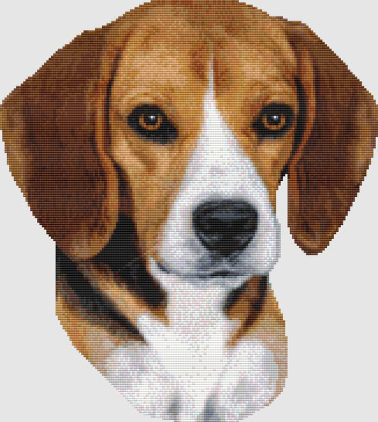 Beagle - Portrait (Tri) / DogShoppe Designs