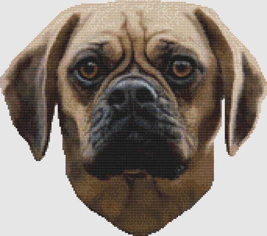 Puggle - Sincere / DogShoppe Designs