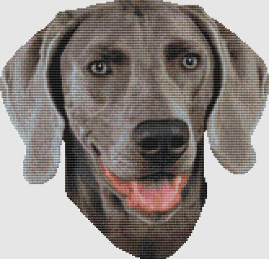 Weimaraner - Smile / DogShoppe Designs