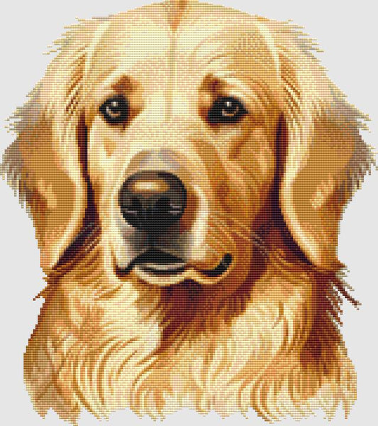 Golden Retriever - Portrait III / DogShoppe Designs