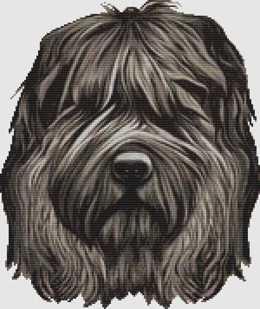 Bouvier - Portrait / DogShoppe Designs