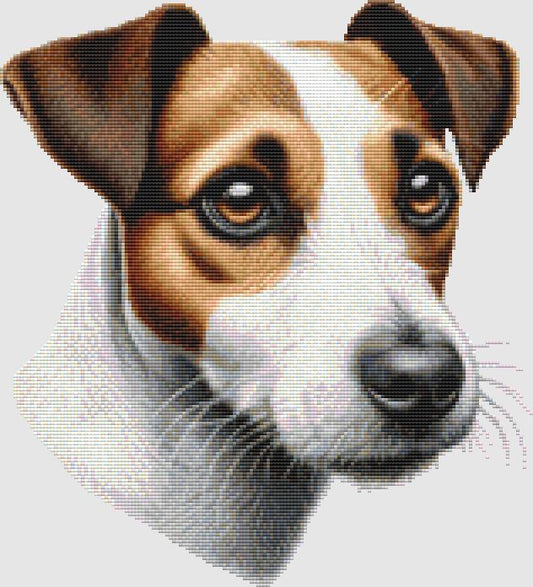 Jack Russell Terrier - Portrait / DogShoppe Designs