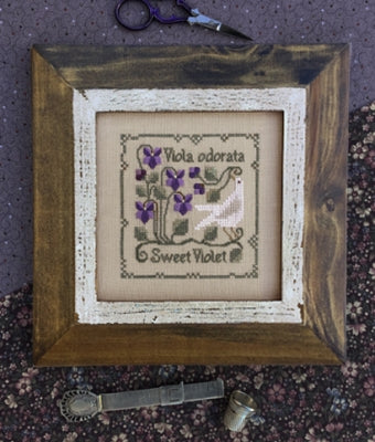 Sweet Violet / Drawn Thread, The