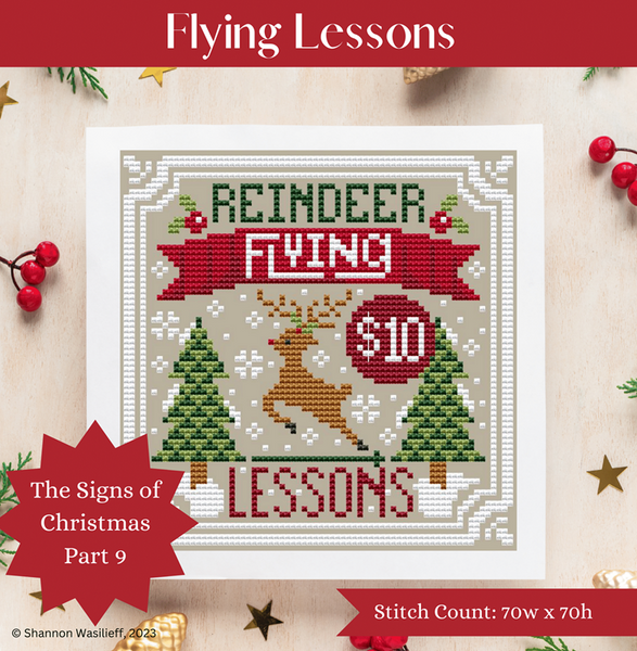 Flying Lessons / Shannon Christine