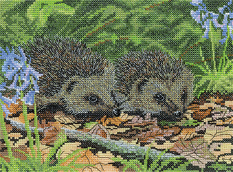 Hedgehogs in Spring  Nigel Artingstall Wildlife Collection - HCK1627A / Heritage Crafts