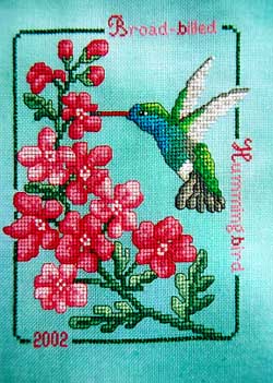 Broad-Billed Hummingbird 2002 / Crossed Wing Collection