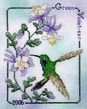 Green Violet-Ear Hummingbird 26 / Crossed Wing Collection