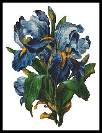 Bunch of Irises - #11285 / Artecy Cross Stitch