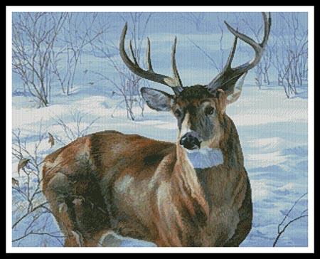 Whitetail Buck - #11292-CYPRS / Artecy Cross Stitch