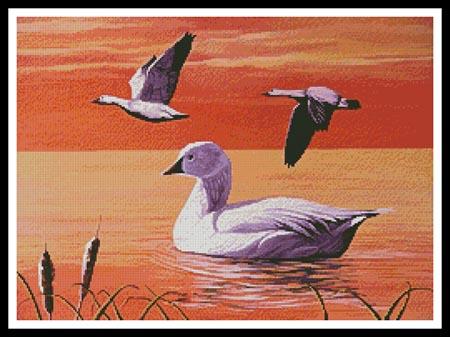 Snow Geese - #11293-MB / Artecy Cross Stitch