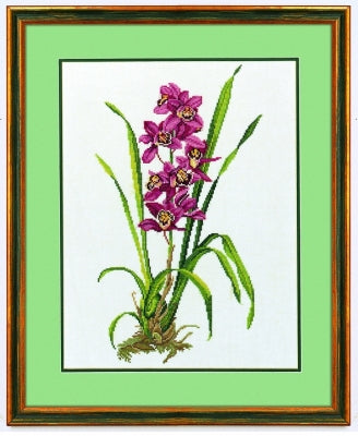 Red Orchid / Eva Rosenstand