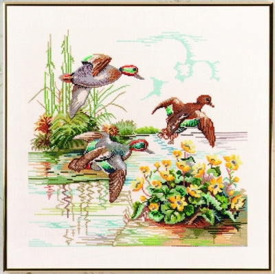 Wild Ducks / Eva Rosenstand