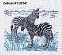 Zebras / Permin Graphs