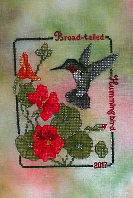 Broad Tailed Hummingbird (2017Commemorative) / Crossed Wing Collection