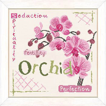 Orchid / Lilipoints