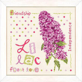Lilac / Lilipoints