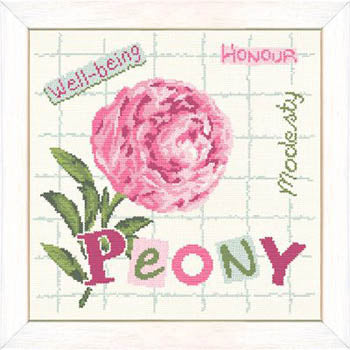 Peony / Lilipoints