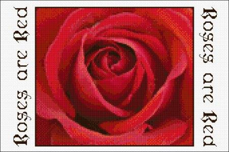 Red Rose Panel / DoodleCraft Design Ltd