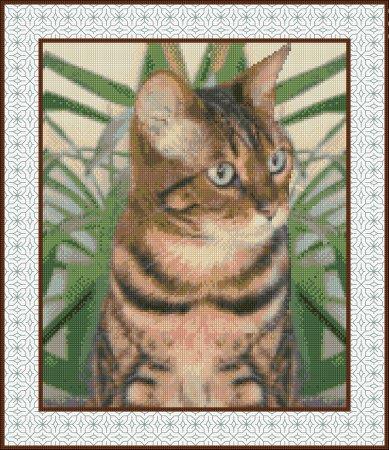 Bengal Cat / DoodleCraft Design Ltd