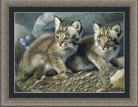 7308 Bobcat Kittens / Kustom Krafts