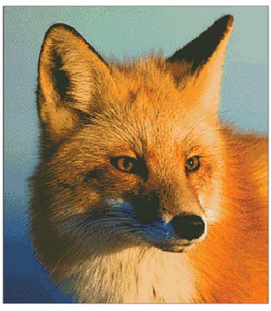 Fox Close Up / Fox Trails Needlework