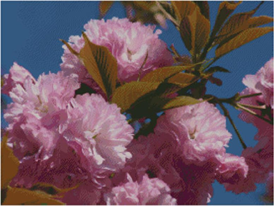 Kwanzan Cherry Blossoms / Fox Trails Needlework