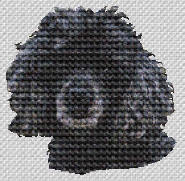 Black Miniature Poodle / White Willow Stitching
