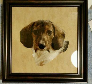 Willy the Wirehaired Dachshund / White Willow Stitching