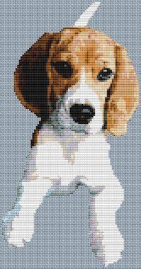 Young Beagle / White Willow Stitching