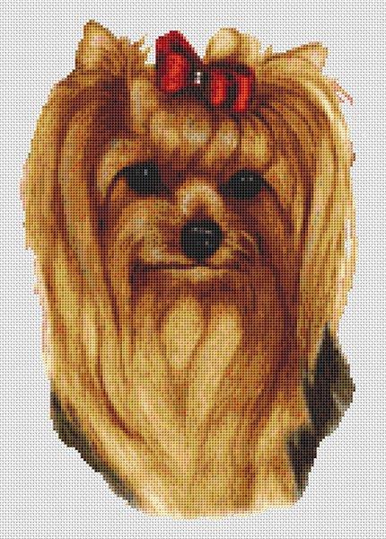 Yorkshire Terrier - Longhaired II / White Willow Stitching