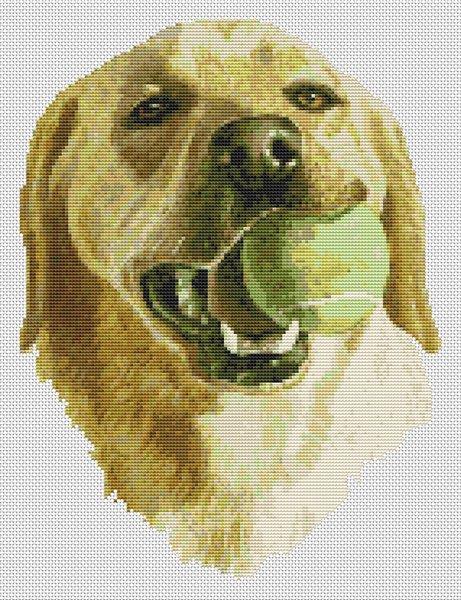 Yellow Lab with Ball / White Willow Stitching