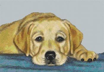 Yellow Lab Pup - Time Out / White Willow Stitching